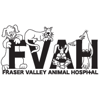 Fraser Valley Animal Hospital