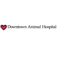 Downtown Animal Hospital logo