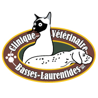 Clinique vétérinaire Basses-Laurentides